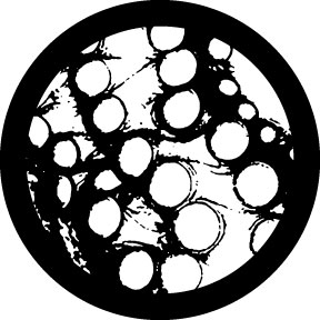 81211 - Octopus Breakup