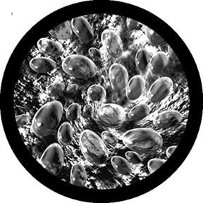 82201 - Whirlpool