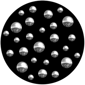 82216 - Colony