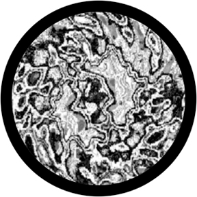 82716 - Slick
