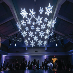 custom gobo pic 13